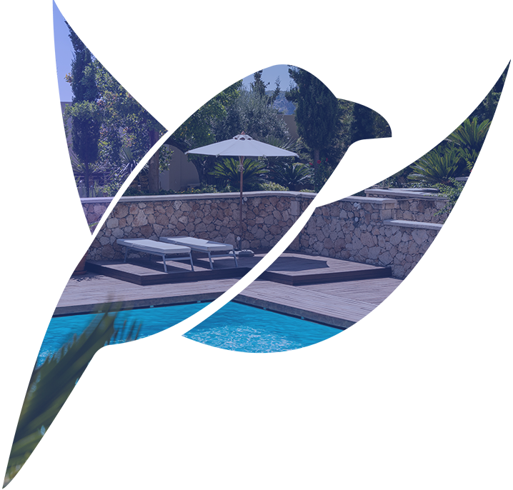 image de piscine intégrée dans un oiseau